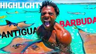 IshowSpeed Antigua and Barbuda highlights #ishowspeed #speedylive #ishowspeedclips #viral 
