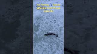 #alaska #icefishing #anchorage #jewellake