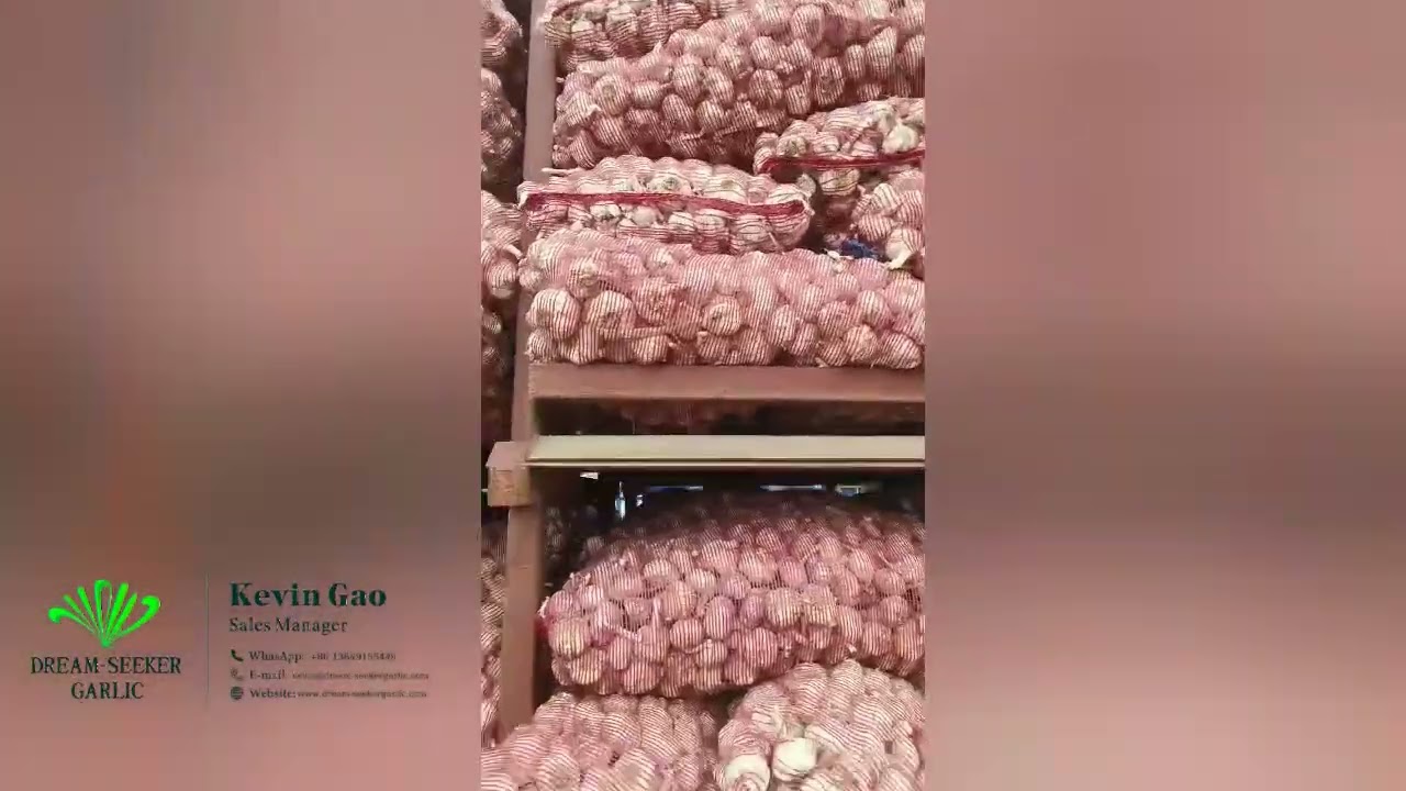 📌 Supplier  Henan The Dream-Seeker Garlic Industry Co., Ltd.
