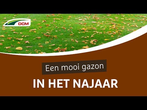 Bescherm uw gras tegen de winterkoude met DCM Gazonmeststof Najaar.Meer info over DCM Gazonmeststof Najaar: Belgiëhttps://dcm-info.be/nl/hobby/producten/gazo...
