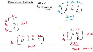 Celebrity 3 5 Operations with matrices Net Worth