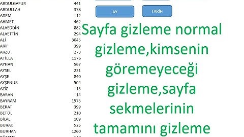 Excel-VBA Sayfa gizleme 1-Normal 2-Hiç kimsenin göremeyeceği gizleme3-Tüm sayfa sekmelerini gizleme