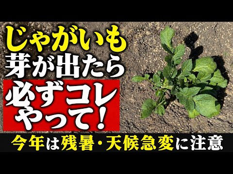 楽農tech - YouTube