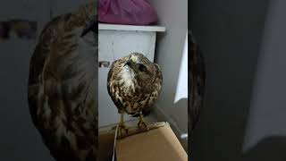 Ne Bakıyon Lan Izmarit