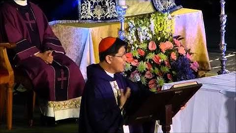2013 Dec 8 Cardinal Chito Tagle - Advent Recollection Homily