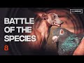 Battle of the Species - Fire Side Films (ep-8)