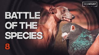 Battle of the Species  Fire Side Films (ep8)