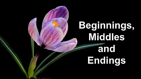 Beginnings, Middles and Endings