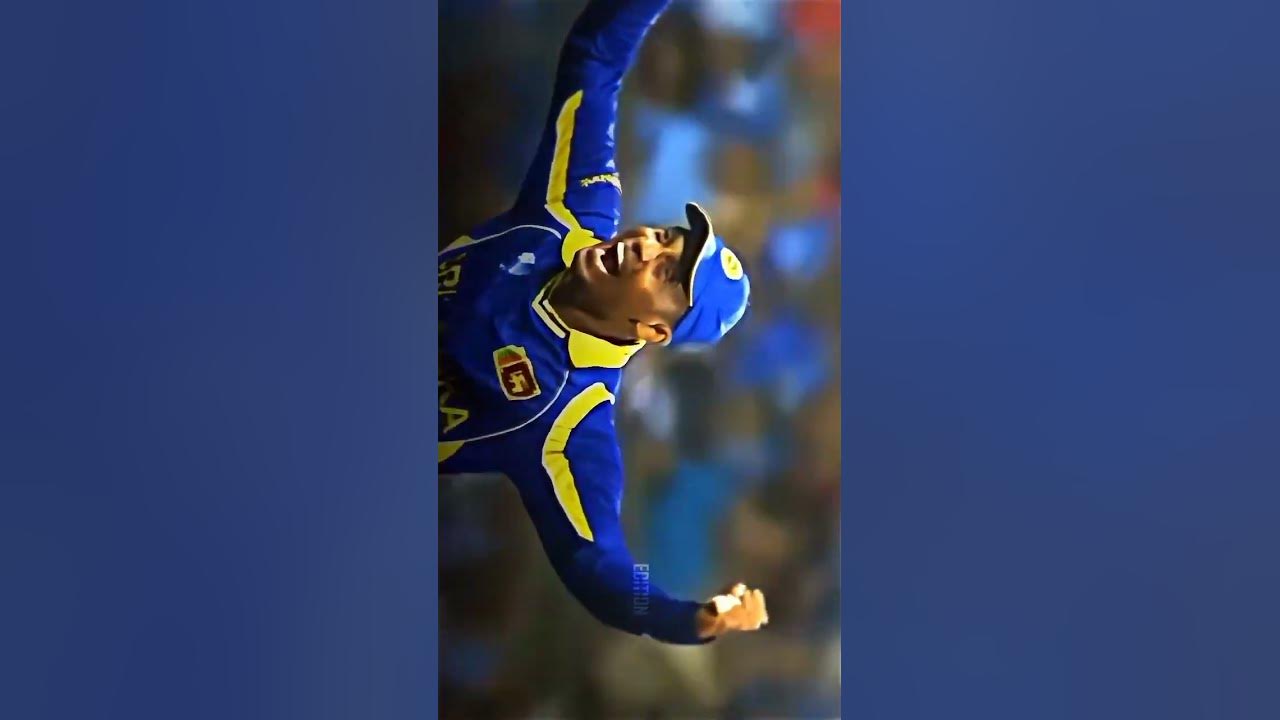 Meaning Of Goosebumps cricket cricketlover cricketcrazy dhoni meaning-of-goosebumps-cricket-cricketlover-cricketcrazy-dhoni