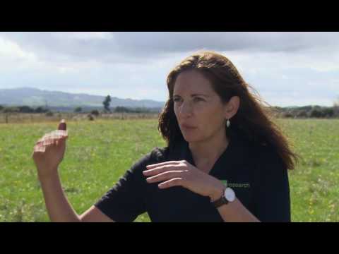 Video: Garden Plot On Peat Soil