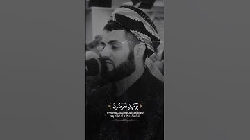 سورة الحاقة رعد الكردي #رعد_الكردي #سورة_الحاقة #islam #quran #raadalkurdy