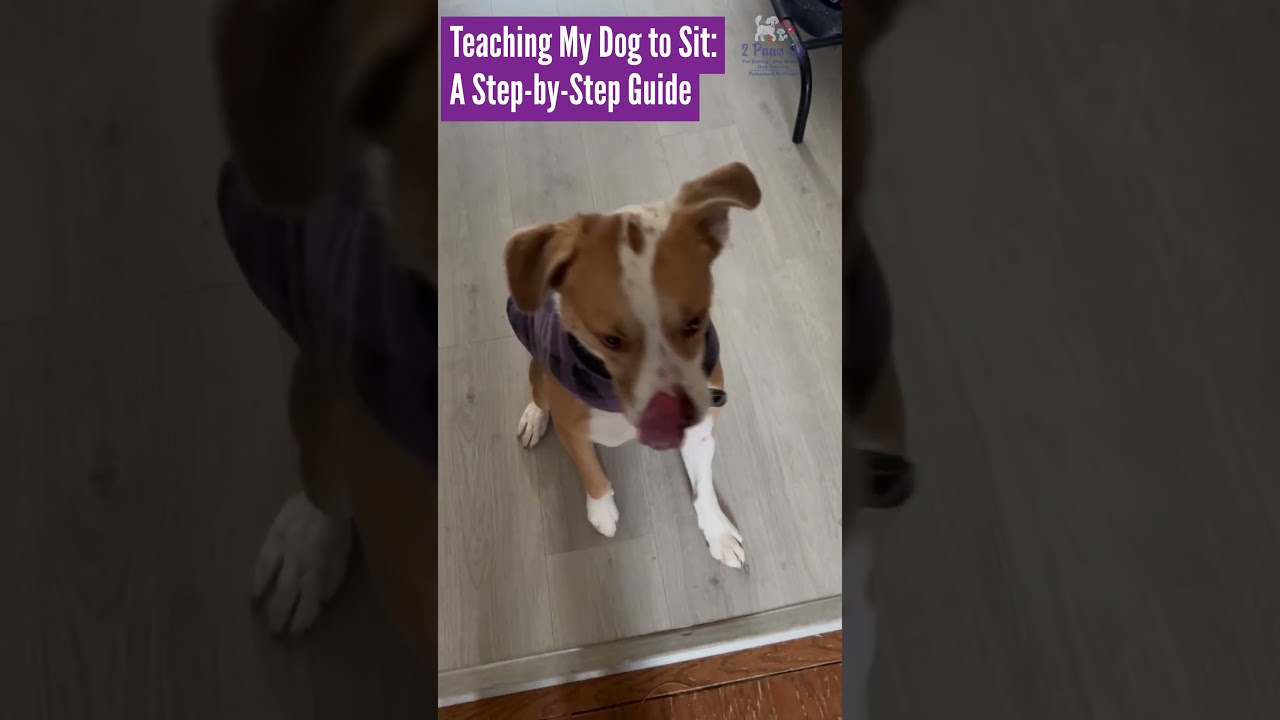 2 Paws Up Inc Pet Sitting - Dog Training - Dog Walking