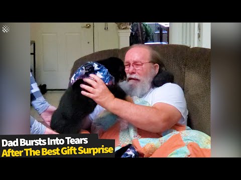Video: Šunų tėvai dabar išreiškia savo šuniuko meilę su raminančiais emocinių šunų žaislais