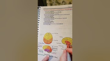 Repeat LIVE 2-15-2022 Nervous system book prep medical certification exam CPC CCS CCA HCPCS ICD10