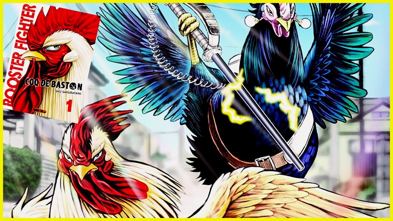UN COQ, DES KIJU ET DE LA BAGARRE ! ROOSTER FIGHTER: COQ DE BASTON
