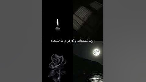 (رب السموات والأرض و ما بينهما) سورة مريم #قران_كريم #quran #عبدالرحمن_مسعد