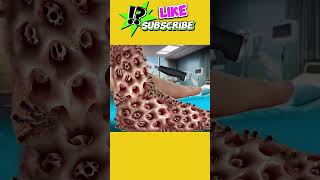 Asmr 2D Animation Youtube Shorts Video