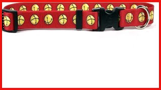 Yellow Dog Design Easy-Snap Pet Collar