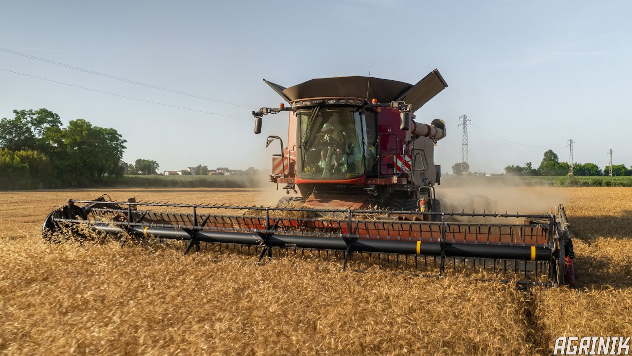 Trebbiatura Grano 2022 🌾 | Case IH Axial Flow 8250 | Forestan Agromeccanica