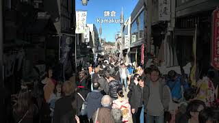 Kamakura New Year 2024