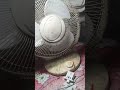 Table Fan में लगाएं Ceiling Fan वाला रेगुलेटर! ⚡ #Shorts #Jugaadटेबल फैन की स्पीड कंट्रोल करने का दे