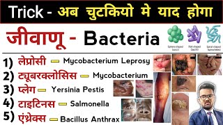 जीवाणू | Bacteria | Bacterial Infections | Infection | Types of Infection | Antibiotics | Treatment
