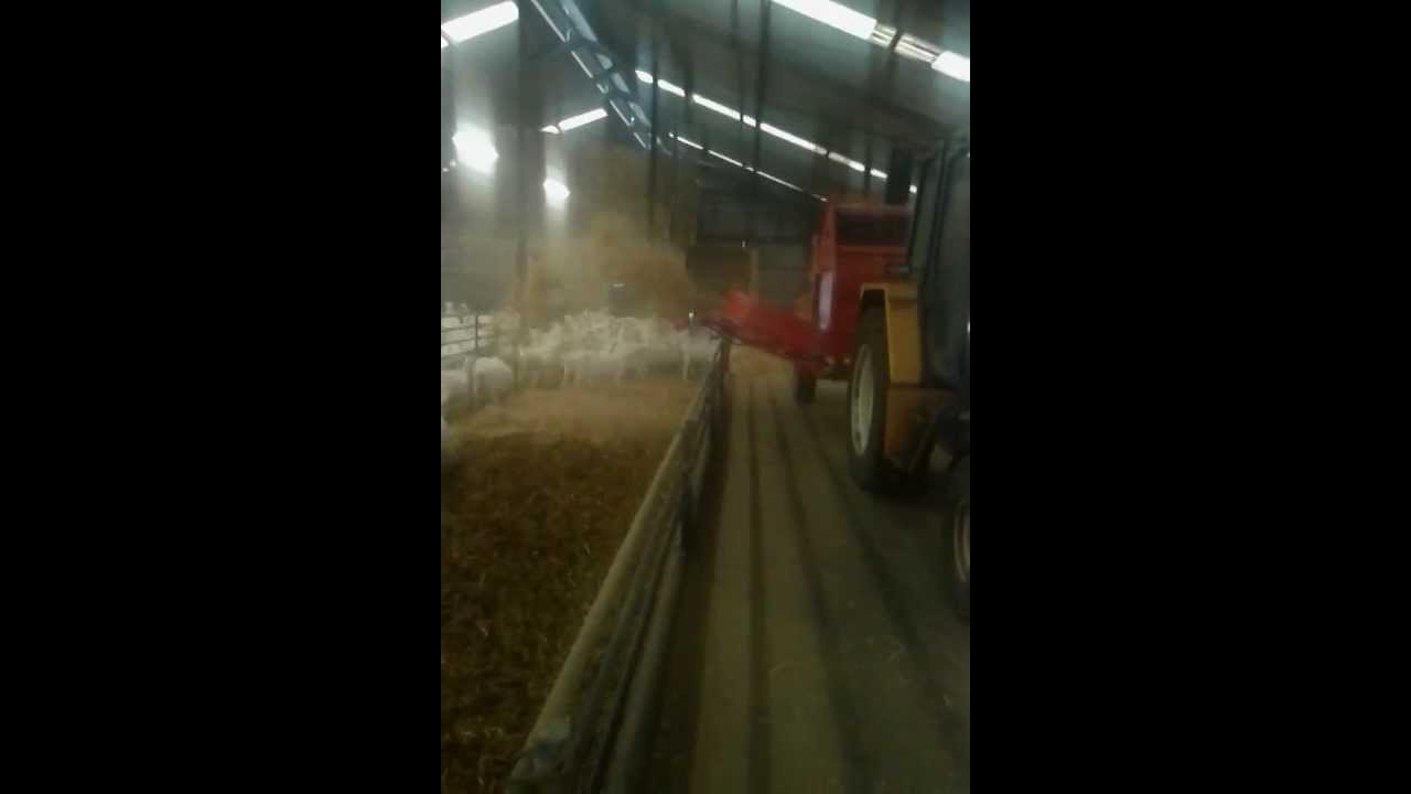 Kamminga-Haarlo Stro Instrooimachine