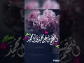 انشوده فداك محمد المقيط