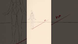 Scaling Height in Perspective -Quick Art Tips art sketch shorts tutorial drawingtutorial anime