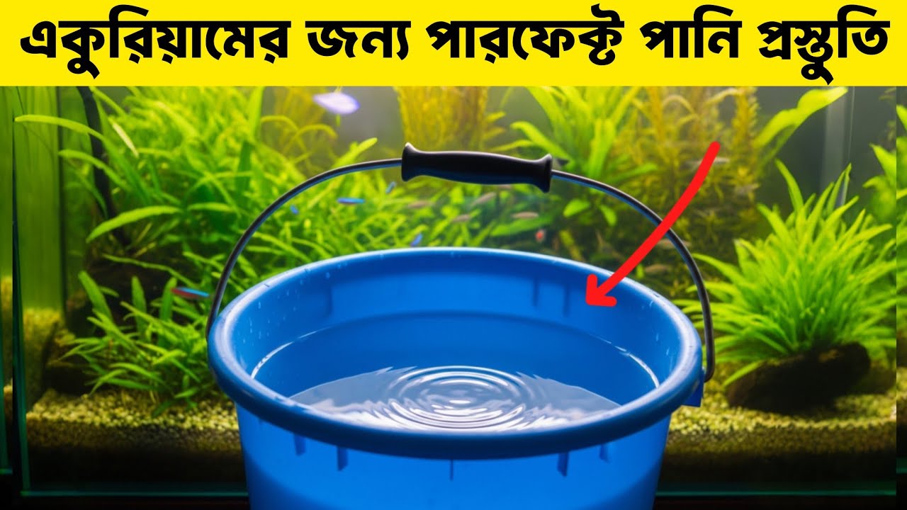 🔴 একুরিয়ামে কেমন পানি দিবেন ? কিভাবে তৈরি করবেন ?  Aquarium tips | Proper aquarium water making 