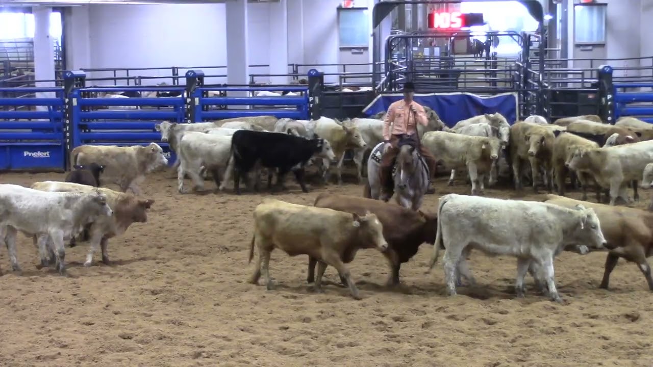 Jan 16 2026  - Bell County CHA - 4YR Open - FEEELIN YACHTY - Christian Miller - Score 75