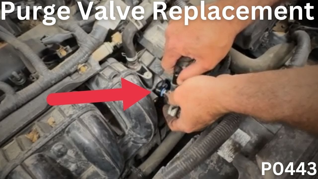 Terrific 2017 Ford Fusion Purge Valve Location Pictures
