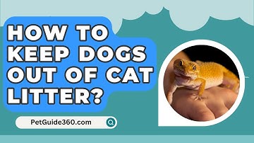 How To Keep Dogs Out Of Cat Litter? - PetGuide360.com