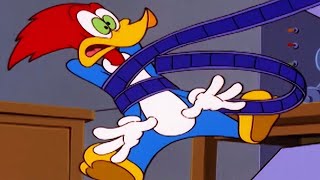 Woody Woodpecker Show | Fright Movie Woody | Full Episode | Cartoons For Children