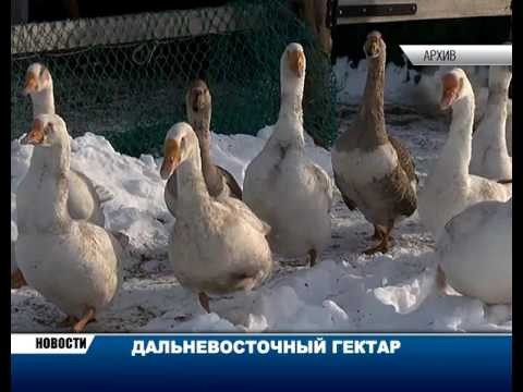 Новости за 3 февраля 2017