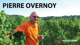 PIERRE OVERNOY | A Natural Wine Legend from Jura