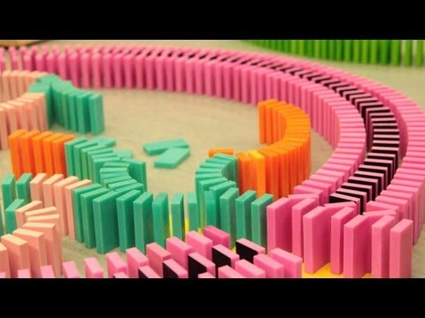 Over 20,000 Dominoes - One Chain Reaction