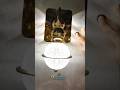 Latest Wall light + 3+3 out way #shorts #viral #homedecor #light #decorationlight