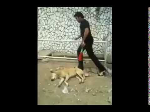 rezerwa lato 07/08 złocieniec KOIIR