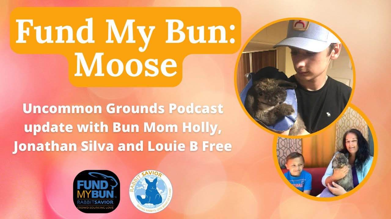 Fund My Bun: Moose