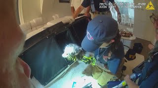 Kitten Rescued After Being Trapped In Electric Reclining Chair