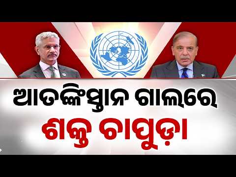 India Slams Pakistan At UN: S Jaishankar Gives Befitting Reply To Pak Journalist | Argus News