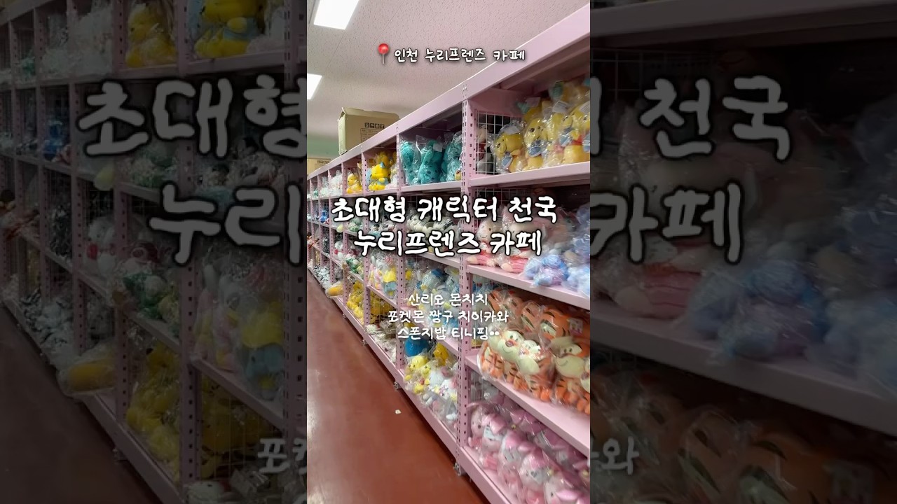 🧸 인천 인형 할인 초대형 매장 누이프렌즈 카페 🧸