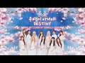 [English Cover] IZ*ONE (아이즈원) - 우연이 아니야 (Destiny)