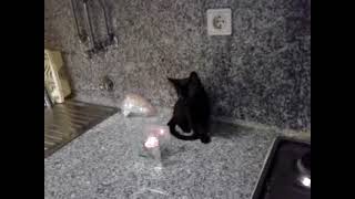 20121031 221142