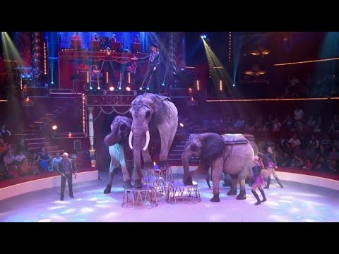 Vidéo: Le Cirque Américain Paie Des Amendes Pour Régler L'accusation De Maltraitance Envers Les Animaux