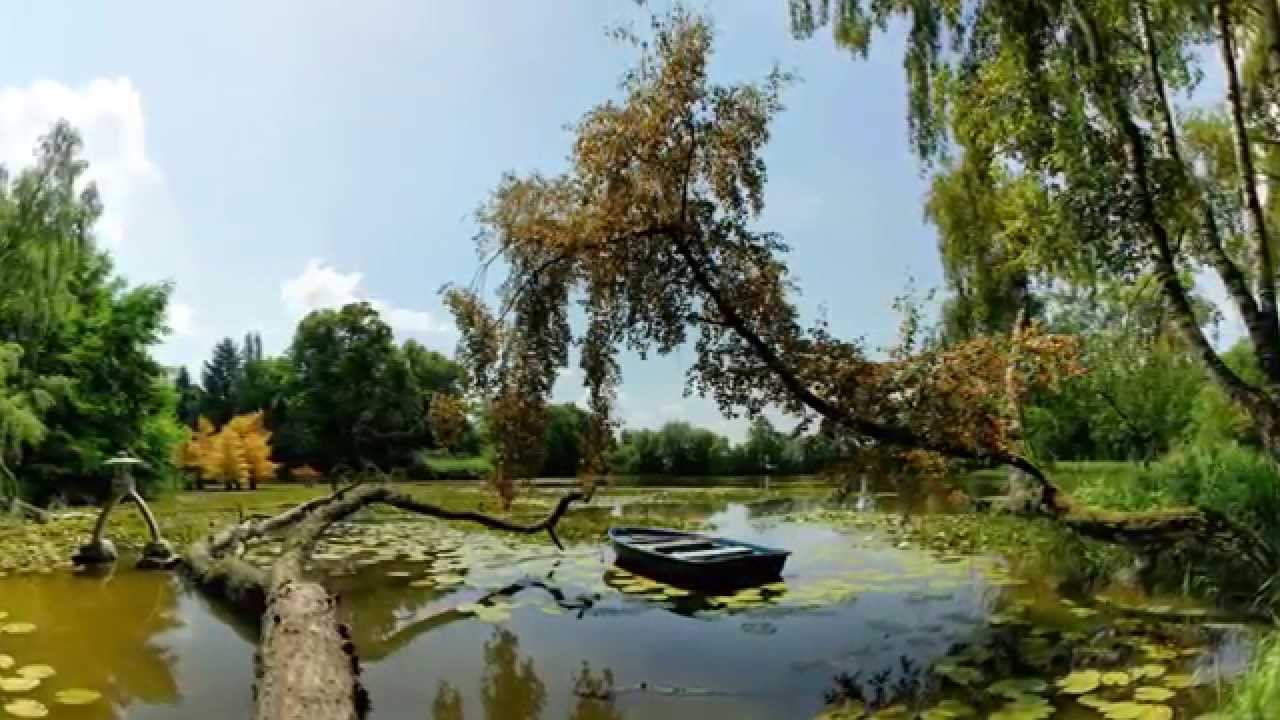 Blanket on the ground (lisa del Bo) YouTube