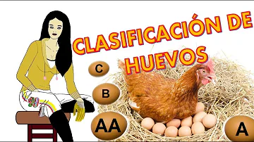 ¿Qué forma de calidad se utiliza para clasificar los huevos según su calidad exterior e interior?