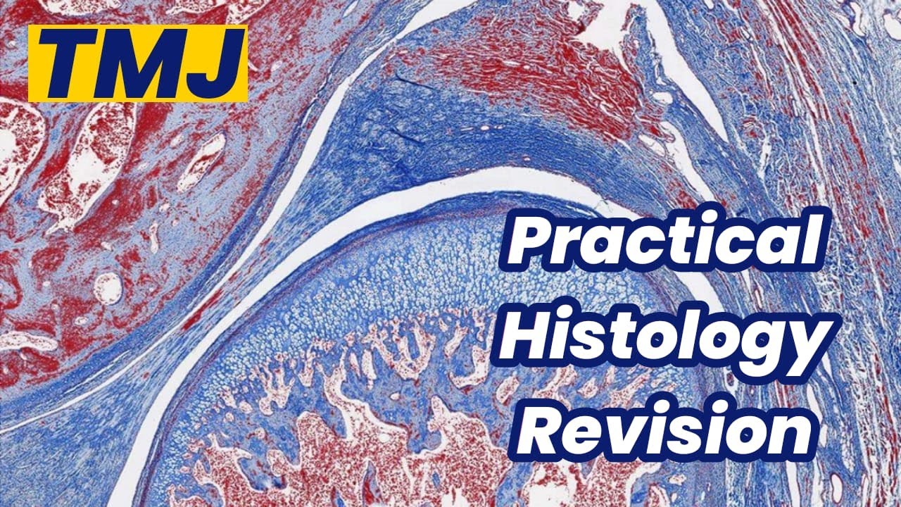Practical oral histology Revision TMJ