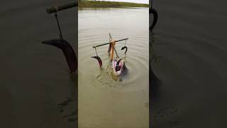 Amazing 4 Bamboo Stick Trap Catfish Fishing | Huge Catfish Catch 🎣 #Shorts